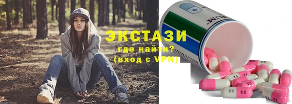 гашик Дмитров