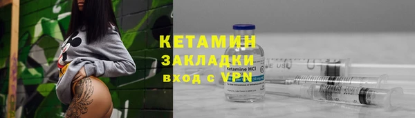 гашик Дмитров