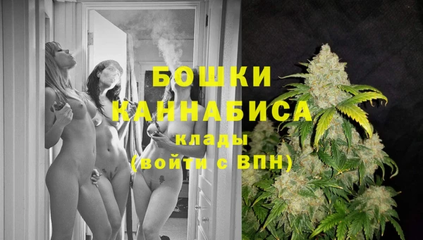 первитин Лабытнанги