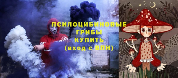 гашик Дмитров