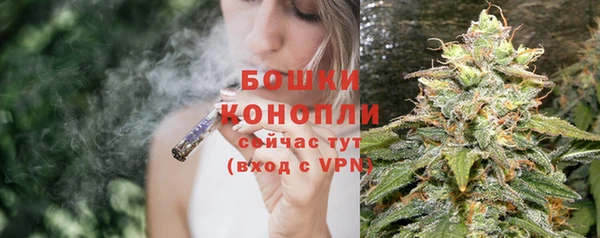 гашик Дмитров