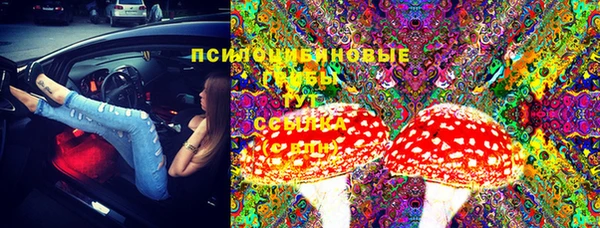 spice Гусиноозёрск