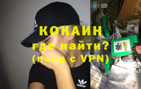 гашик Дмитров
