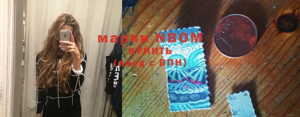 гашик Дмитров