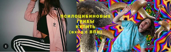 прущая мука Гусев