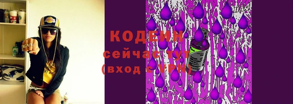 гашик Дмитров