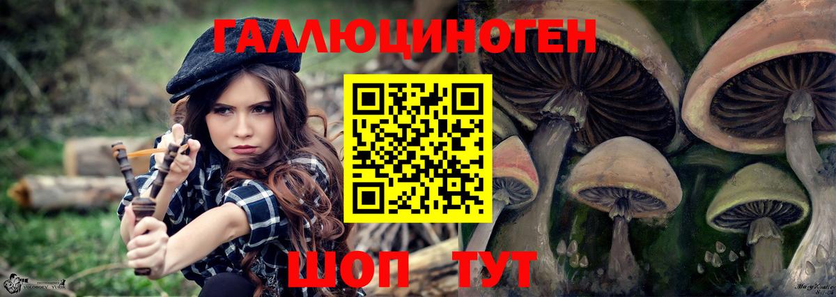 Галлюциногенные грибы прущие грибы  Вход с VPN  Ипатово  Галлюциногенные грибы Cubensis 